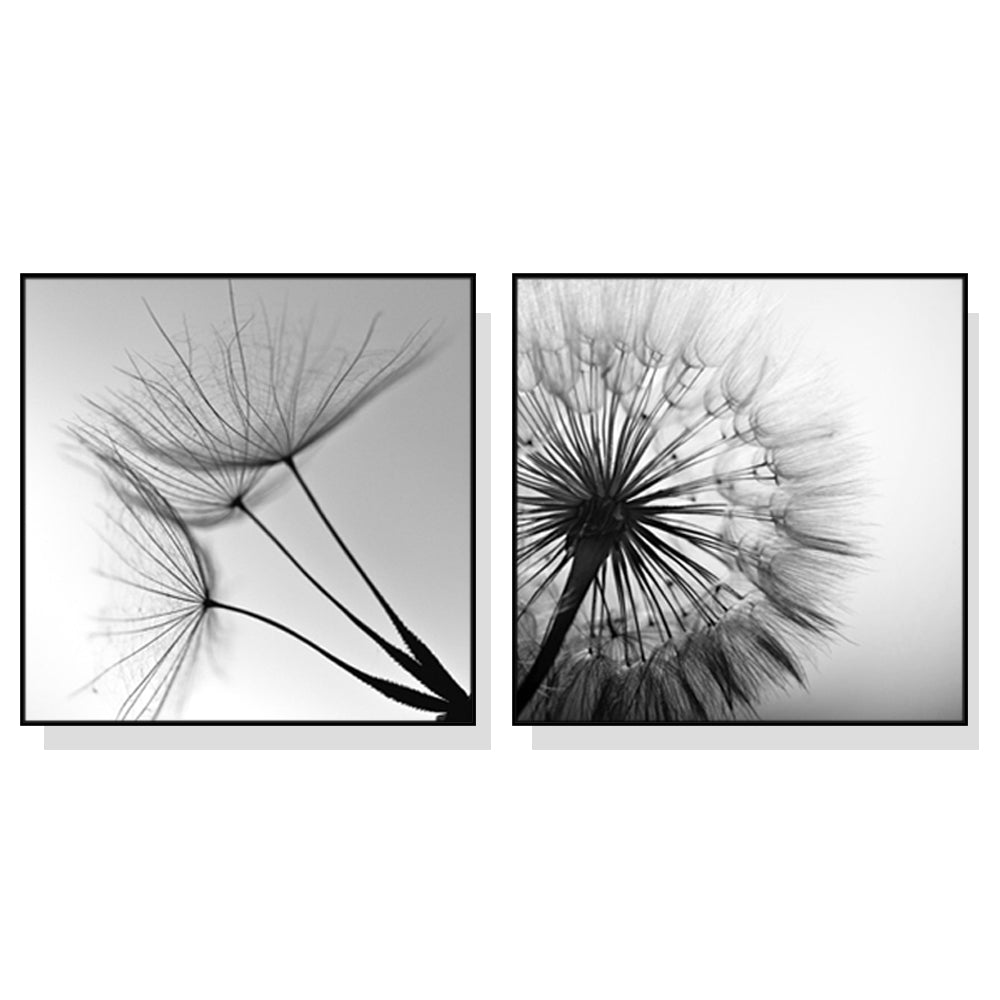 NNEDSZ Wall Art 60cmx60cm Black and white dandelion 2 Sets Black Frame Canvas-0