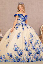 3-D Flower Embroidery Off Shoulder Mesh Quinceanera Gown-1
