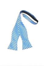 Newton Stripe Bow Tie Self Tie-1