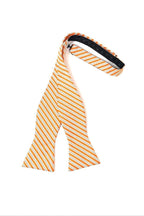 Newton Stripe Bow Tie Self Tie-3